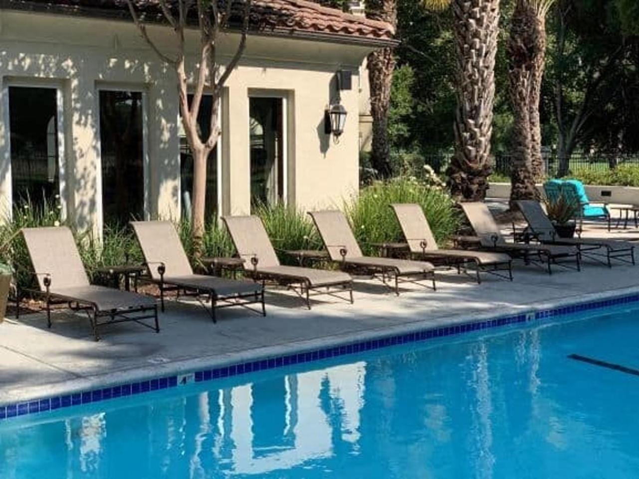 Luxury Suite, Fast Wifi, King Bed, Pool And Apartment