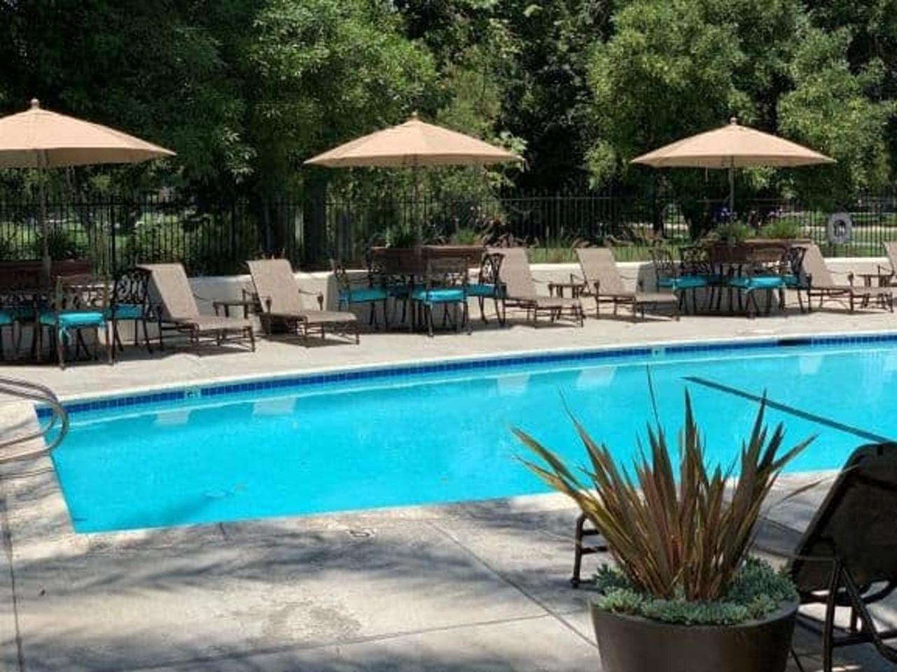 Apartment Luxury Suite, Fast Wifi, King Bed, Pool And